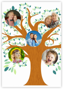 Plagát, Rodokmeň, 40x60