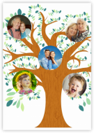 Plagát, Rodokmeň, 40x60 cm