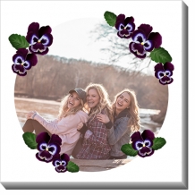 Obrazy, Fialky, 30x30 cm