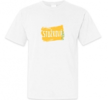 Tričko pánska, Triedne