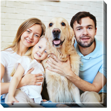 Obrazy, Váš rodinný projekt, 70x70 cm