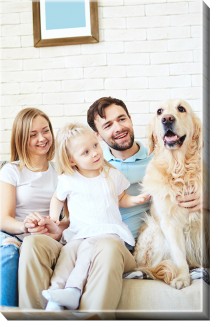 Obrazy, Váš rodinný projekt, 70x100 cm