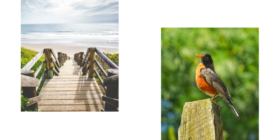 Z prázdnin fotokniha, 20x20 cm