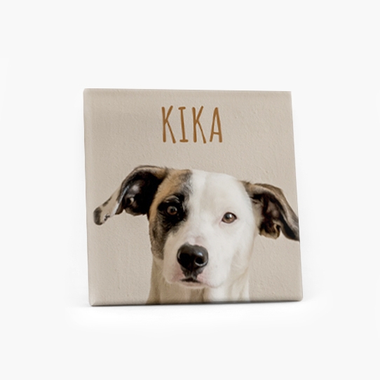 Obrazy, Pre psiu mamičku, 40x40 cm