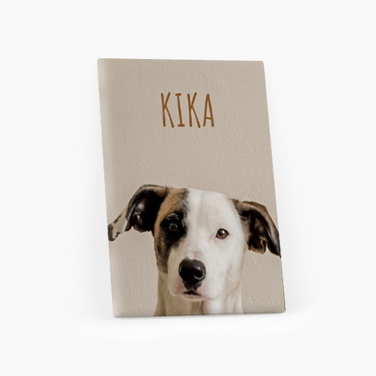 Obrazy, Pre psiu mamičku, 30x40 cm