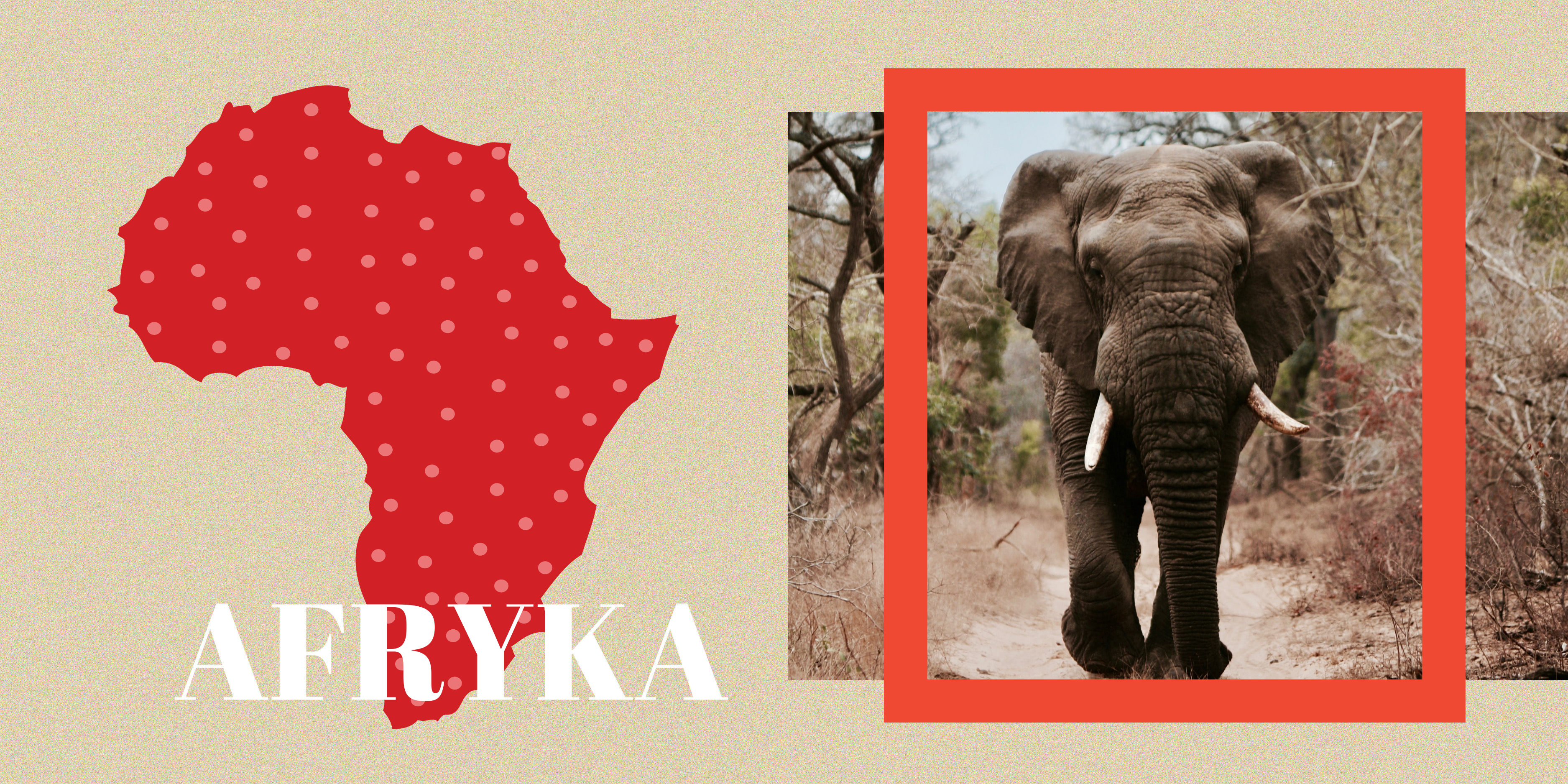 Kolorowa Afryka fotokniha, 20x20 cm