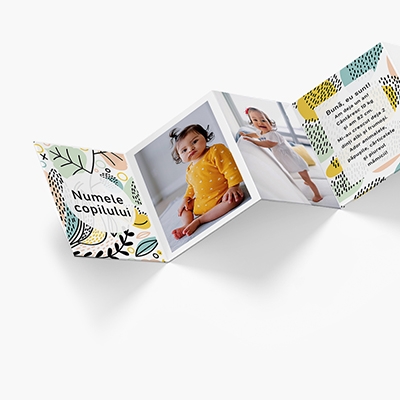 Leporelo z fotografií, Pastelové