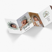 Leporelo z fotografií, Baby