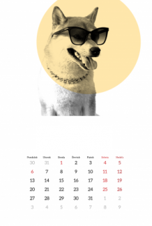 Nástenný kalendár, Zvieratá, 30x40 A3 cm