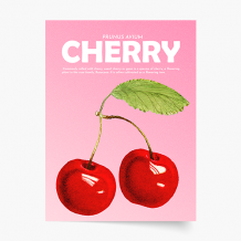 Plagát, Fruits - Cherry, 21x30