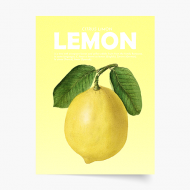 Plagát, Fruits - Lemon, 30x40 cm