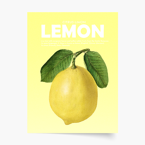 Plagát, Fruits - Lemon, 21x30
