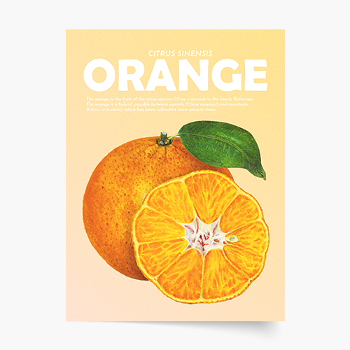 Plagát, Fruits - Orange, 21x30