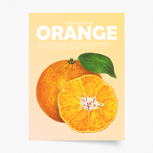Plagát, Fruits - Orange, 21x30