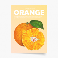 Plagát, Fruits - Orange, 30x40 cm