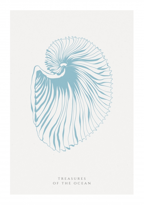 Plagát, Seashells blue, 70x100