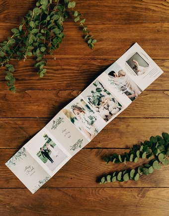 Leporelo z fotografií, Kolekcia Botanická