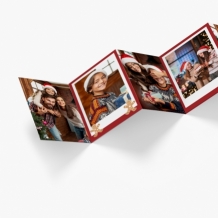 Leporelo z fotografií, Kolekcia Pán Keksík