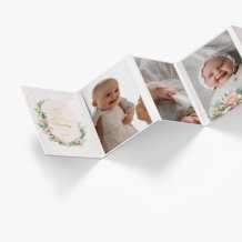 Leporelo z fotografií, Kolekcia Ružové kvety