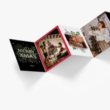 Leporelo z fotografií, Kolekcia pod stromček