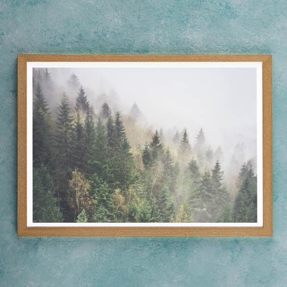 Plagát, Les: Wild, 40x30