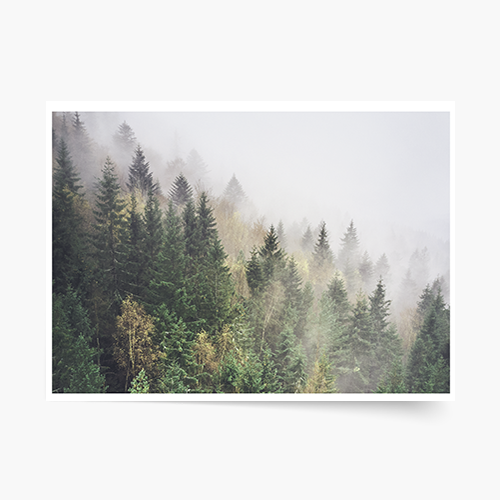 Plagát, Les: Wild, 40x30