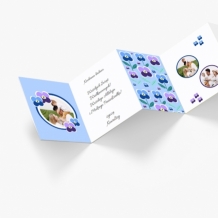 Leporelo z fotografií, Kolekcia macešky