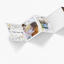 Leporelo z fotografií, Jarná lúka