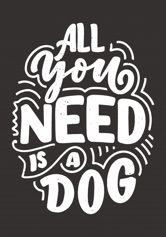 Plagát, All you need is dog, 30x40