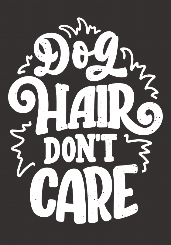 Plagát, Dog hair don't care, 30x40