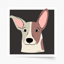 Plagát, Jack Russel, 30x30