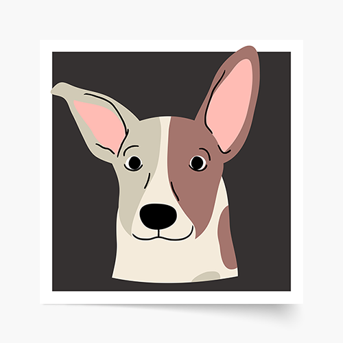 Plagát, Jack Russel, 30x30