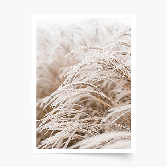 Plagát, Boho 1, 21x30