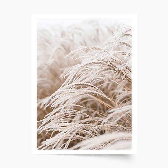 Plagát, Boho 1, 21x30