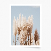 Plagát, Boho 2, 21x30