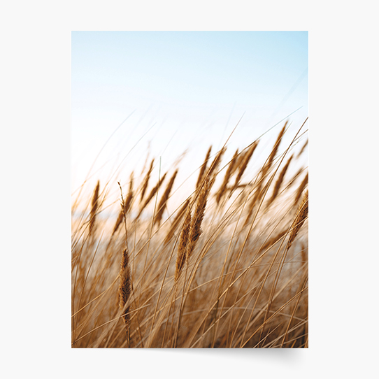 Plagát, Boho 3, 21x30