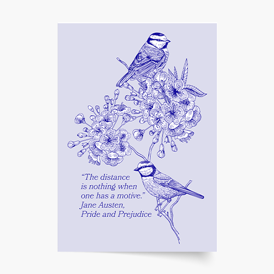 Plagát, Vtáky: Dva vtáky , 21x30