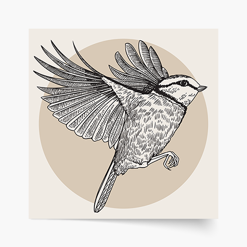 Plagát, Vtáky: Vták 1, 30x30