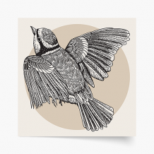 Plagát, Vtáky: Vták 2, 30x30