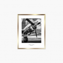 Rám na plagát FLORYDA AU, zlatý, 40x50 cm