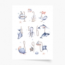 Plagát, Abeceda: Čísla Oceán Chlapec, 21x30