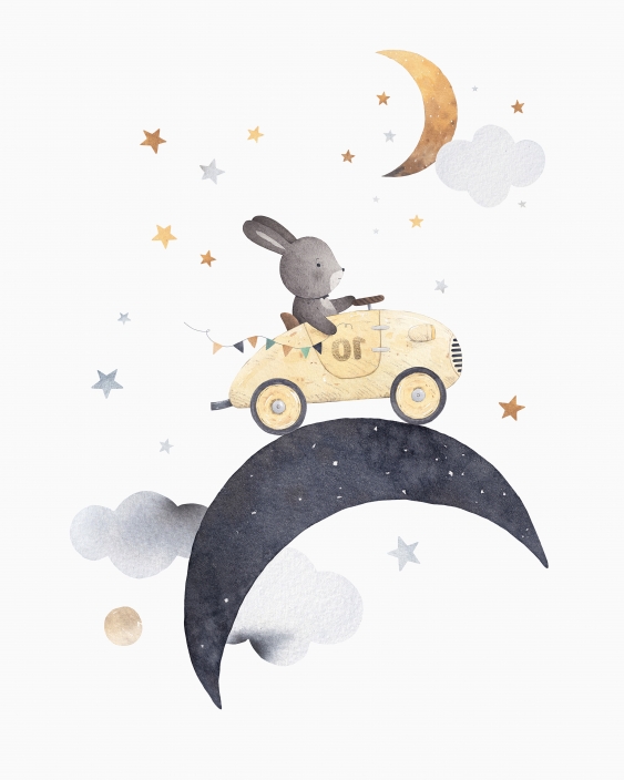 Obrazy, Night: Bunny II, 50x70 cm