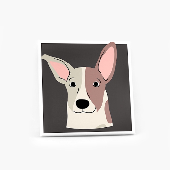 Obrazy, Pes V, 50x50 cm