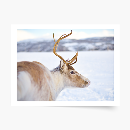 Plagát, Zima: Sob, 40x30