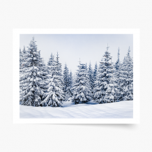 Plagát, Zima: Les, 40x30