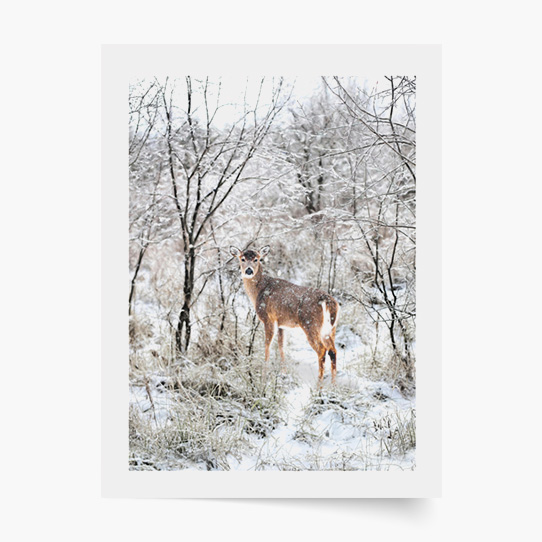 Plagát, Sob IV, 40x60