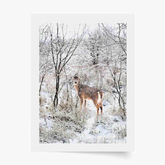 Plagát, Sob IV, 40x60