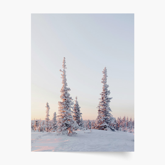 Plagát, Zimné stromy, 20x30