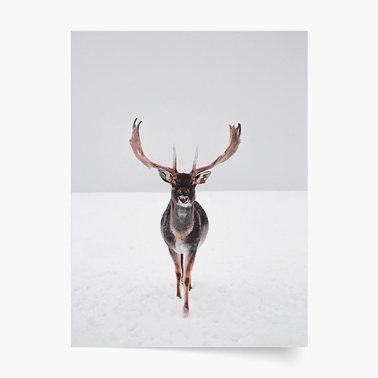 Plagát, Sob I, 20x30