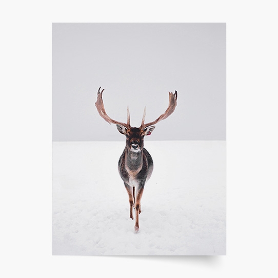 Plagát, Sob I, 20x30